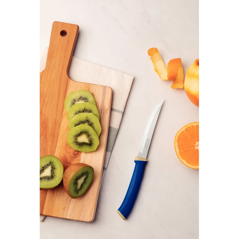 Tramontina Felice Barbecue Knife 5'' Stainless Steel Blades, Smooth Edge And Blue Polypropylene Handles 2Pc Set 23493/215 3 Tramontina Felice Barbecue Knife 5'' Stainless Steel Blades, Smooth Edge And Blue Polypropylene Handles 2Pc Set 23493/215