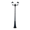 Tronic 2 Headed 2 Metres Pole Light