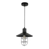Tronic Black Vintage Pendant Glass Cage Light