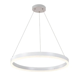 Tronic Architectural Hanging Light