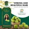 Dabur Amla Hair Oil for Healthy Hair and Moisturized Scalp, Indian Hair Oil for Men and Women 300ml (Pack of 6)