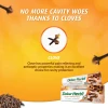 Dabur Herbal Toothpaste 150g with Brush Clove Natural Toothpaste for Cavity Protection‎, No Added Chemicals (Pack of 6)
