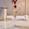 Ocean Wine Glass 2pcs Sante Flute Champagne 210ml Fine Rim 3026F0702G001