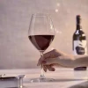 Ocean Wine Glass 2pcs Sante Red Wine 420ml Fine Rim Stemware 3026R1502G0001