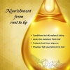Dabur Amla Hair Oil Gold, Hair Serum with Amla Oil, Almond and Henna - Moisturizing Hair and Scalp Oil, Natural Hair Oil Treatment, 200ml - Set of 3 Pcs