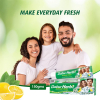 Dabur Herbal Toothpaste 150g No Brush Green Gel - Set of 3 Pcs