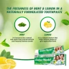 Dabur Herbal Toothpaste 150g No Brush Green Gel - Set of 3 Pcs