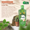 Vatika Hair Oil Natural Moisturizing, Strengthening & Hair Oil Serum for Healthy Scalp, Nourishing Hair Oil for Soft, Manageable, Smooth & Silky Hair From Root to Tip (Cactus) 300ml (Pack of 6)