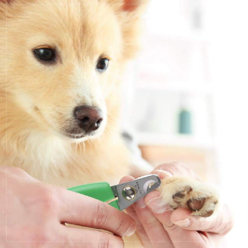 Wahl Animal Curved Nail Clipper 858455-016 6 Wahl Animal Curved Nail Clipper 858455-016