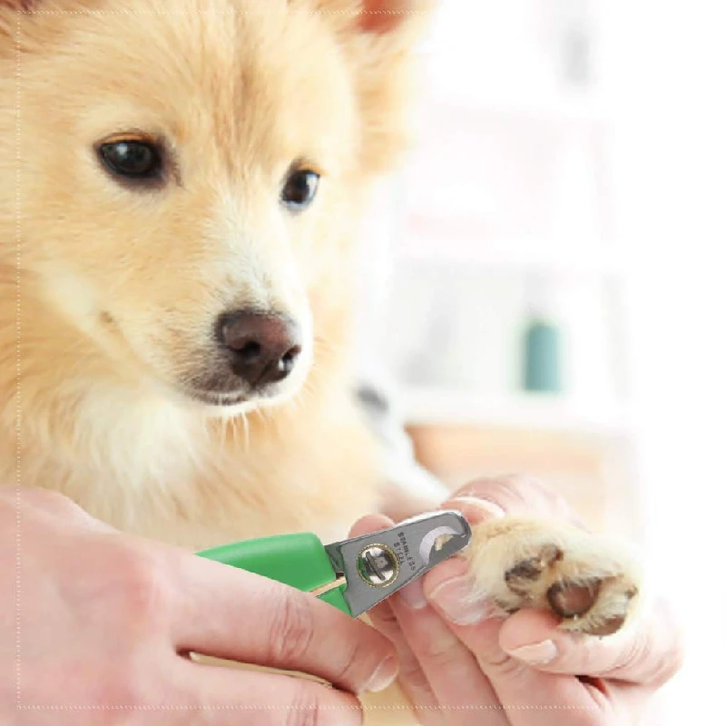 Wahl Animal Curved Nail Clipper 858455-016 6 Wahl Animal Curved Nail Clipper 858455-016