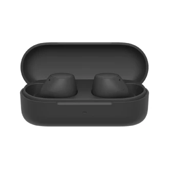 Sony Wireless Bluetooth Earbuds with Mic, Noise Cancelling, 10 Hours Playback, Quick Charge, IPX4 Rating WF-C510