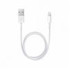 Apple USB Power Adapter 5W with Lightning Cable