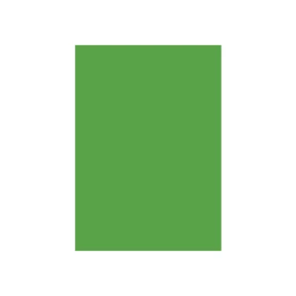 Special Colour Manilla Sheet A4 160gsm 100 Sheets Green P06942