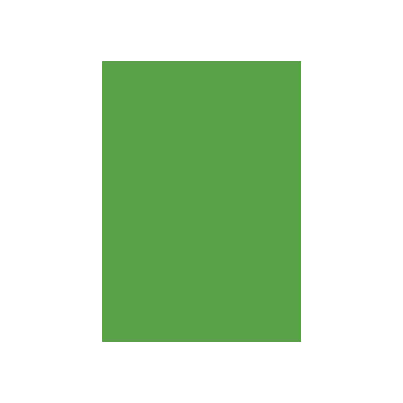 Special Colour Manilla Sheet A4 160Gsm 100 Sheets Green P06942 2 Special Colour Manilla Sheet A4 160Gsm 100 Sheets Green P06942
