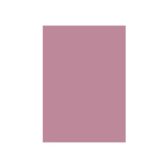 Special Colour Manilla Sheet A4 160gsm 100 Sheets Pink P06944
