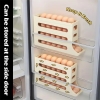 Refrigerator Egg Storage Box, Automatic Egg Rolling Rack Holder - WS2314P